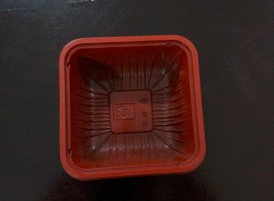 新忠盛吸塑制品廠 以專業(yè)制造，塑世界精彩